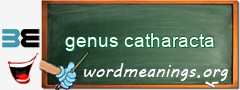 WordMeaning blackboard for genus catharacta